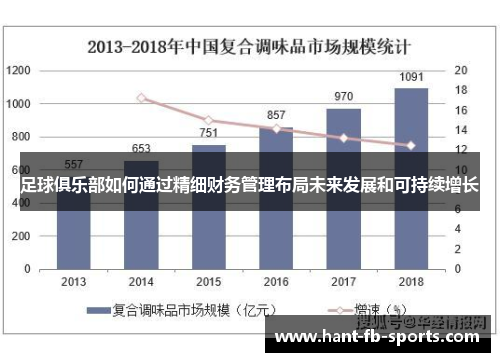 足球俱乐部如何通过精细财务管理布局未来发展和可持续增长 足球俱乐部如何通过精细财务管理布局未来发展和可持续增长