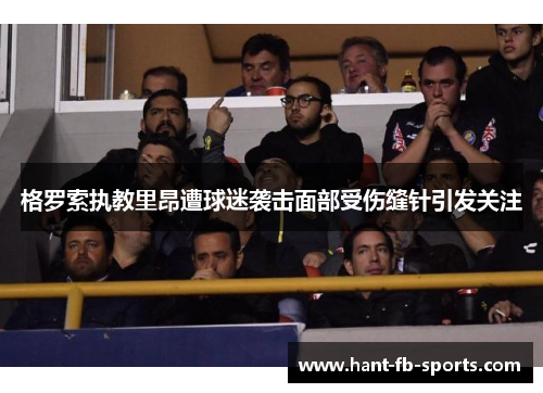 格罗索执教里昂遭球迷袭击面部受伤缝针引发关注 格罗索执教里昂遭球迷袭击面部受伤缝针引发关注